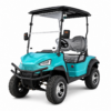 Carrito de golf Buggy