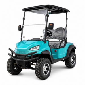 Carrito de golf Buggy