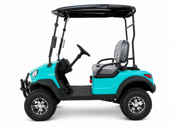 Carrito de golf Buggy