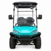 Carrito de golf Buggy