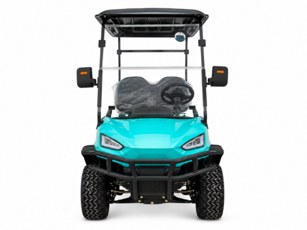 Carrito de golf Buggy