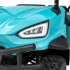 Carrito de golf Buggy