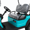Carrito de golf Buggy