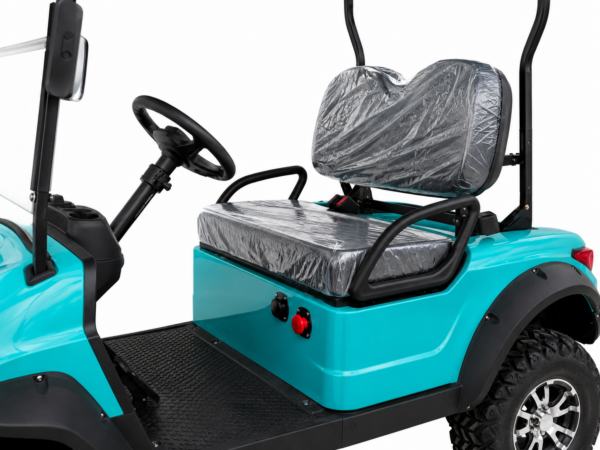 Carrito de golf Buggy