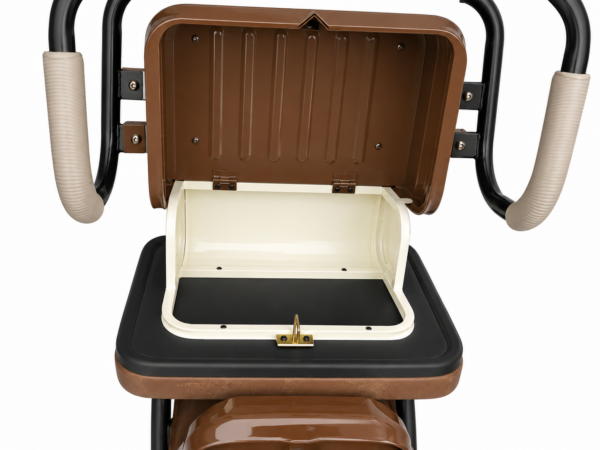Buggy triciclo golf